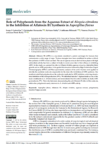 Perspectives agricoles